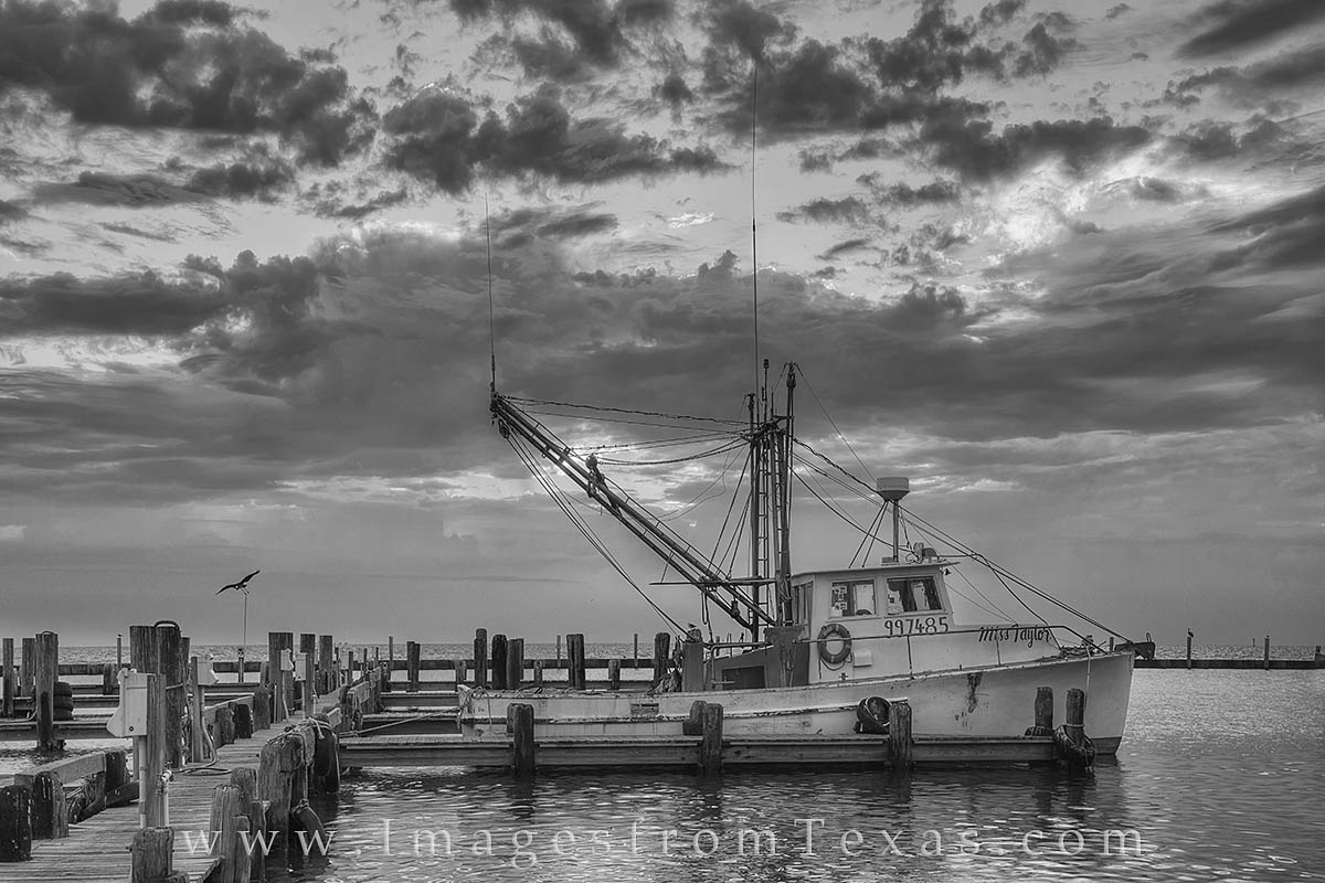 The Shrimp fashion Boat, 1936