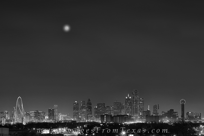 Dallas Black and White Pictures | Black and White dallas skyline at night orders Wall Art. Dallas Office Art