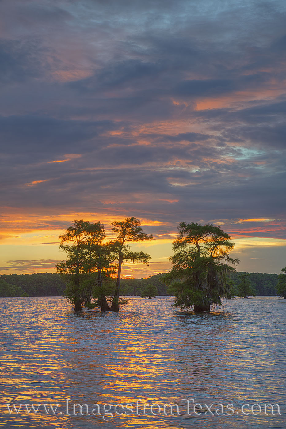 Caddo Lake Sunset 7 | Caddo Lake | Rob Greebon Photography