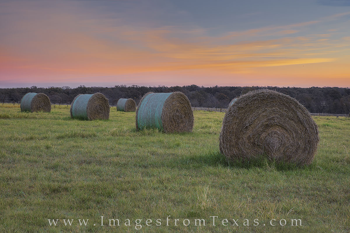 Texas Hay Bales at Sunrise 1 | Texas Hill Country | Rob Greebon Photography